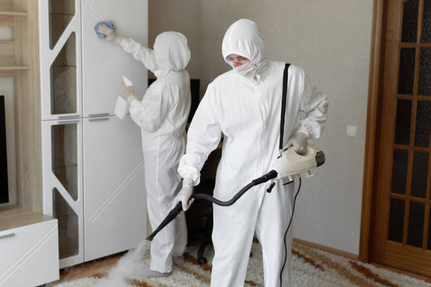 Best Local Mold Removal Service  in Newfoundland, NJ